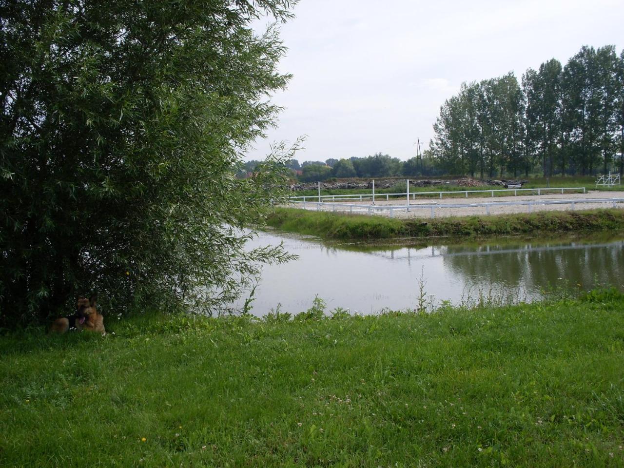 Nagybajcsi Lovaspark és Otthon vendégház Extérieur photo